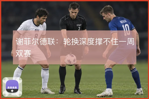 谢菲尔德联：轮换深度撑不住一周双赛