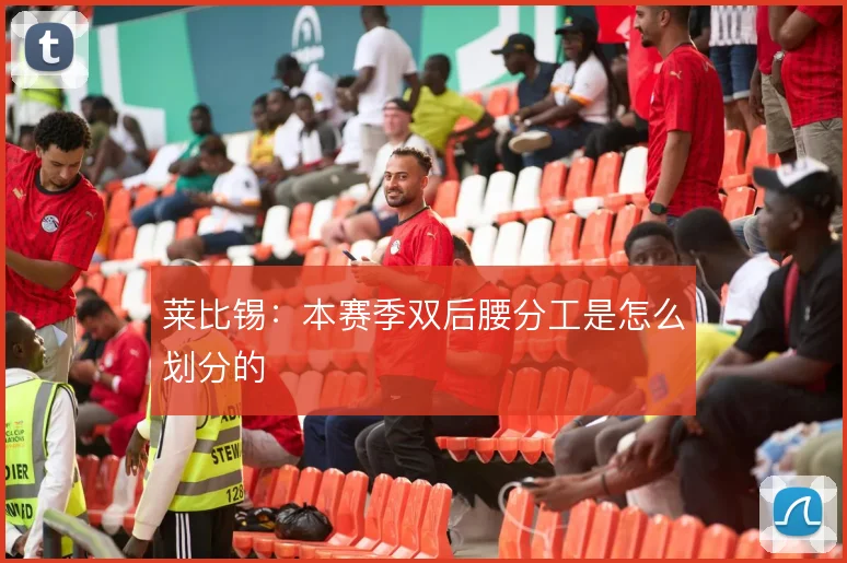莱比锡：本赛季双后腰分工是怎么划分的