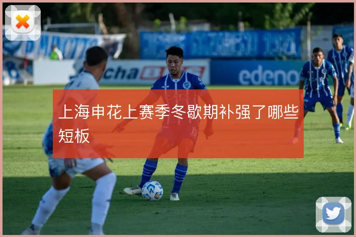 上海申花上赛季冬歇期补强了哪些短板