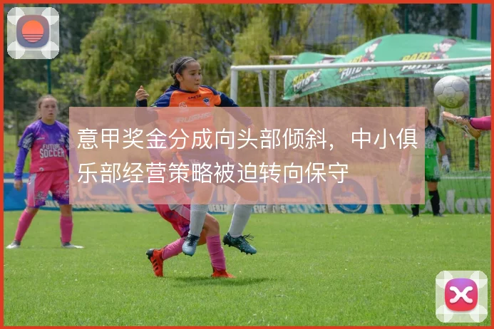 意甲奖金分成向头部倾斜，中小俱乐部经营策略被迫转向保守