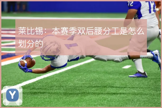 莱比锡：本赛季双后腰分工是怎么划分的