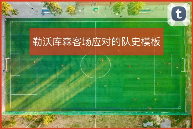 勒沃库森客场应对的队史模板